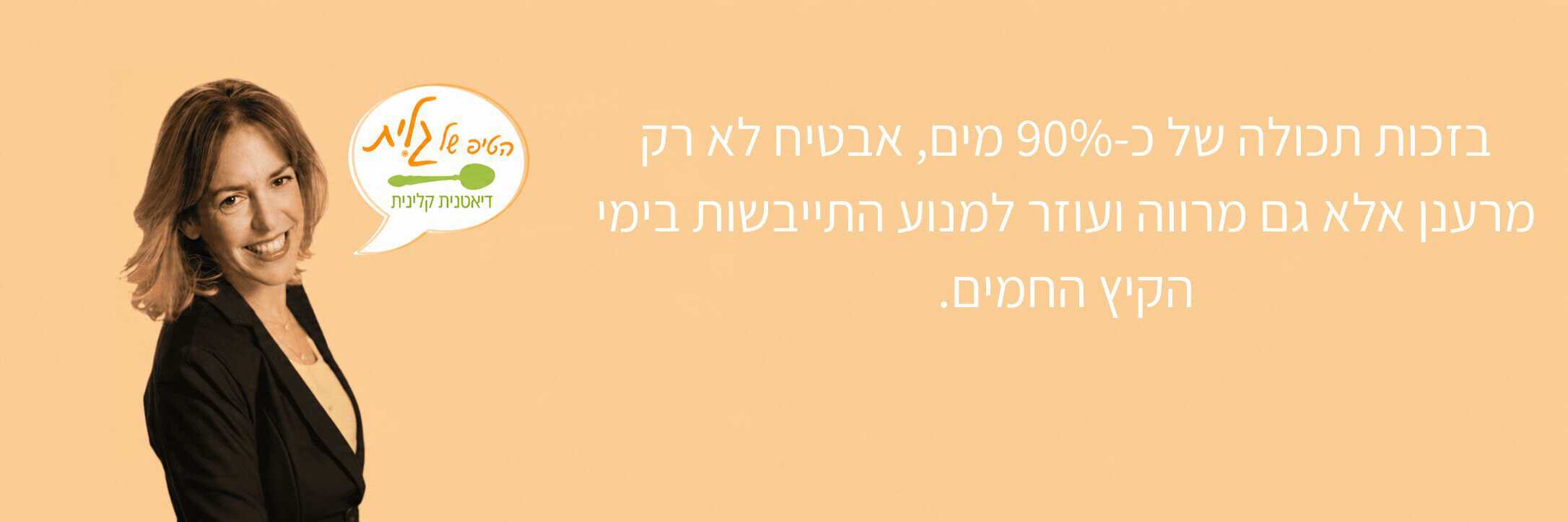 באנר גלית פומה- מחשב 4